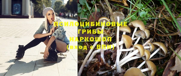 spice Вязники