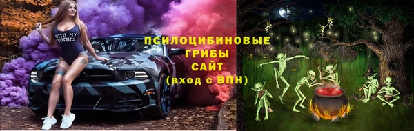 spice Вязники