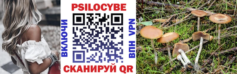 цены Смоленск Псилоцибиновые грибы мицелий