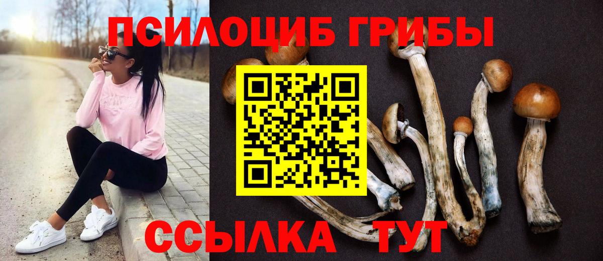 сколько стоит  Галлюциногенные грибы прущие грибы  Смоленск  Вход с VPN  Псилоцибиновые грибы мухоморы 